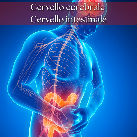 Cervello cerebrale Cervello intestinale
